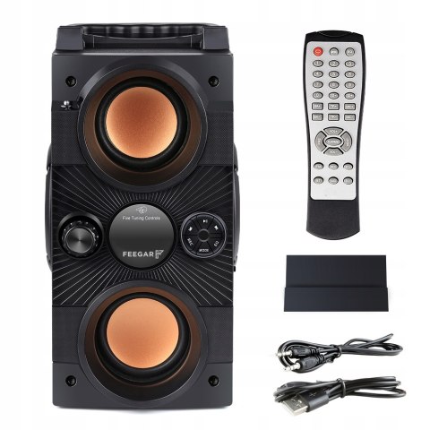 Fegar Dance Głośnik 30W Bluetooth Karaoke Radio Pilot Usb Sd Aux 4000Mah