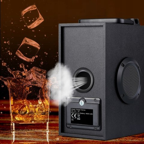 Fegar Dance Głośnik 30W Bluetooth Karaoke Radio Pilot Usb Sd Aux 4000Mah