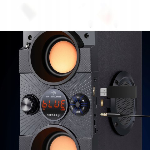 Fegar Dance Głośnik 30W Bluetooth Karaoke Radio Pilot Usb Sd Aux 4000Mah