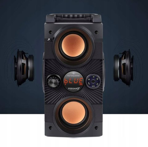 Fegar Dance Głośnik 30W Bluetooth Karaoke Radio Pilot Usb Sd Aux 4000Mah