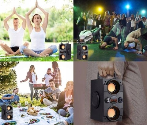 Fegar Dance Głośnik 30W Bluetooth Karaoke Radio Pilot Usb Sd Aux 4000Mah