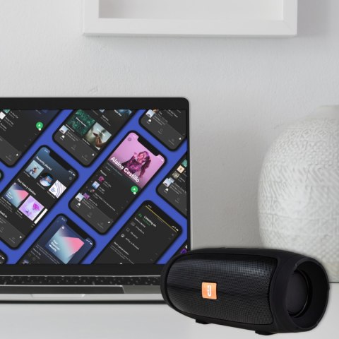 Głośnik Bluetooth 4X Big Bass, Powerbank, Radio Fm, Wbudowany Mikrofon