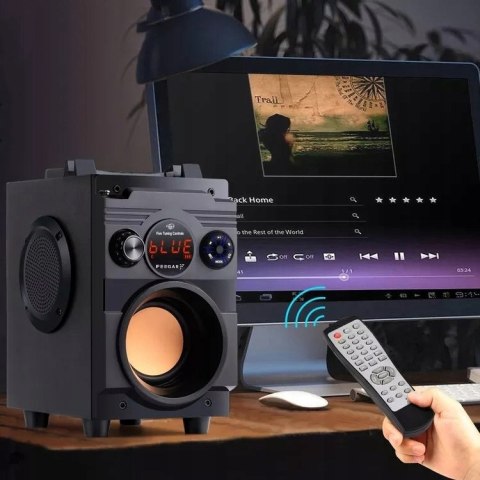Głośnik Bluetooth Feegar Showjet 30W Hifi Karaoke 12H 4000Mah Radio Fm Usb