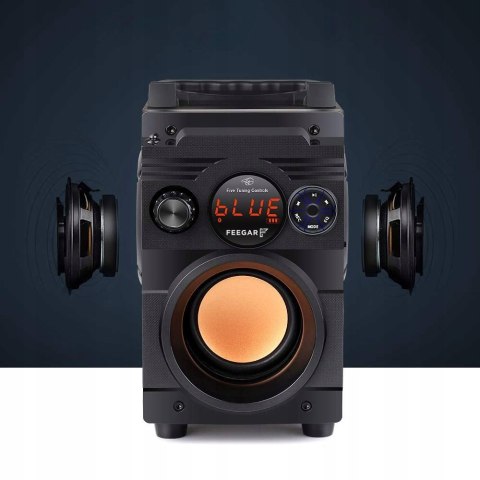 Głośnik Bluetooth Feegar Showjet 30W Hifi Karaoke 12H 4000Mah Radio Fm Usb