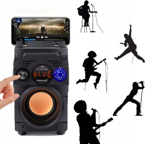 Głośnik Bluetooth Feegar Showjet 30W Hifi Karaoke 12H 4000Mah Radio Fm Usb