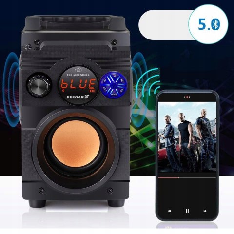 Głośnik Bluetooth Feegar Showjet 30W Hifi Karaoke 12H 4000Mah Radio Fm Usb