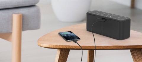 Przenośny Głośnik Bezprzewodowy Bluetooth Bass Tronsmart Mega Pro 60W Nfc