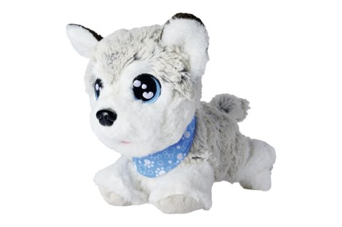 Chi Chi Love Interaktywny Piesek Husky 30Cm, 12 Komend, Dźwięki, 3+ Szary