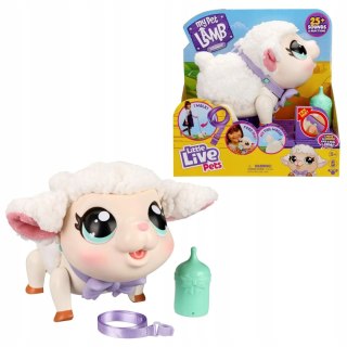 Interaktywna Owieczka Baranek Moose Little Pets Reaguje Na Dotyk I Dźwięk