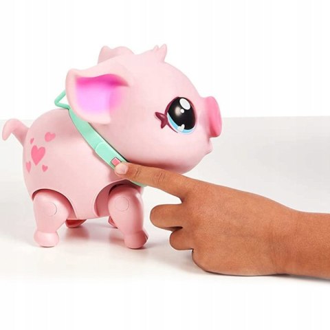 Interaktywna Świnka Little Live Pets 4+ 25 Dźwięków I Reakcji 2Tryby Zabawy