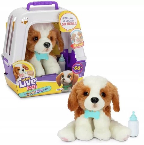Interaktywna Zabawka Szczeniak Littlelivepets Z Transporterem I Akcesoriami