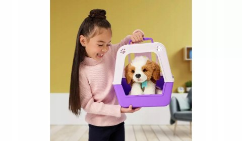 Interaktywna Zabawka Szczeniak Littlelivepets Z Transporterem I Akcesoriami
