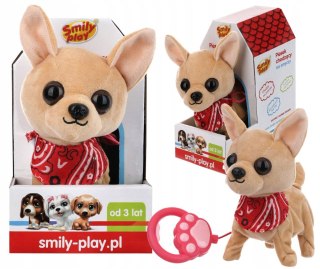 Interaktywny Piesek Chihuahua Na Smyczy Smily Play, Szczeka, Chodzi, 3+