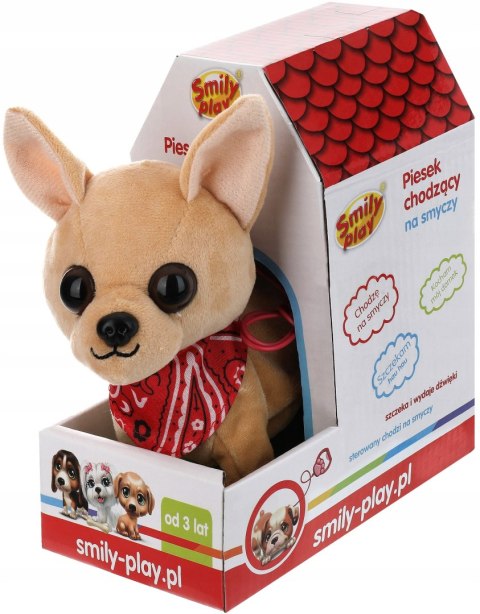 Interaktywny Piesek Chihuahua Na Smyczy Smily Play, Szczeka, Chodzi, 3+