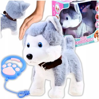 Interaktywny Piesek Husky Henio Z Smyczą - Chodzący I Szczekający 22Cm