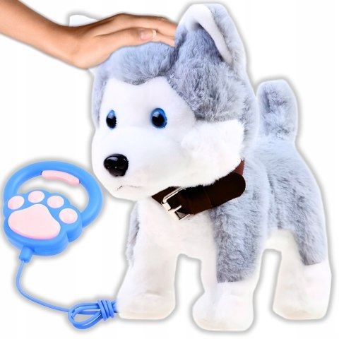 Interaktywny Piesek Husky Henio Z Smyczą - Chodzący I Szczekający 22Cm
