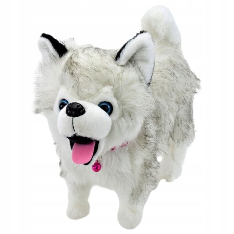 Interaktywny Piesek Husky Na Smyczy - Chodzi, Szczeka, Merda Ogonkiem Szary