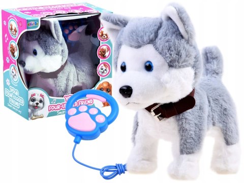 Interaktywny Piesek Husky Pluszowy Z Smyczą, Reakcje Dźwiękowe I Ruchowe