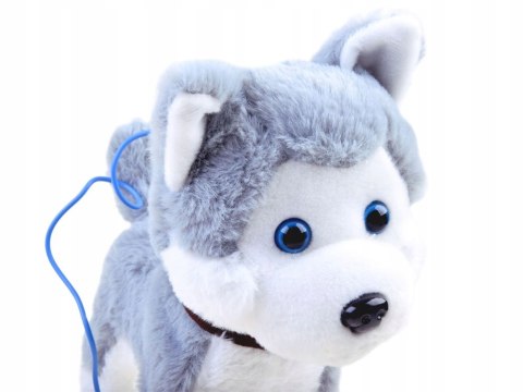 Interaktywny Piesek Husky Pluszowy Z Smyczą, Reakcje Dźwiękowe I Ruchowe