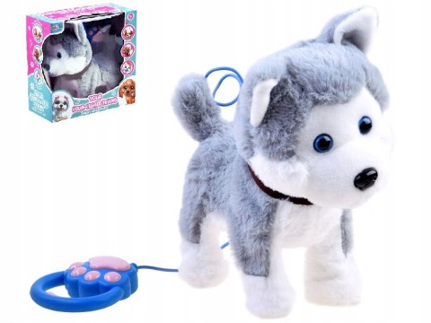 Interaktywny Piesek Husky Pluszowy Z Smyczą, Reakcje Dźwiękowe I Ruchowe