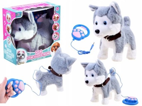 Interaktywny Piesek Husky Pluszowy Z Smyczą, Reakcje Dźwiękowe I Ruchowe