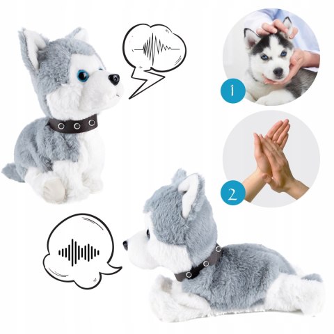 Interaktywny Piesek Husky, Reaguje Na Dotyk I Dźwięk, Realistyczne Ruchy