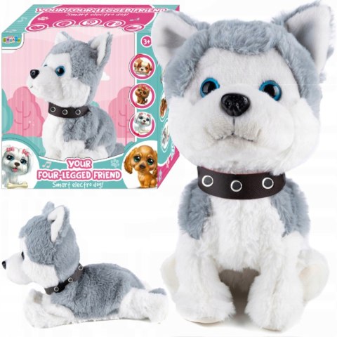 Interaktywny Piesek Husky, Reaguje Na Dotyk I Dźwięk, Realistyczne Ruchy
