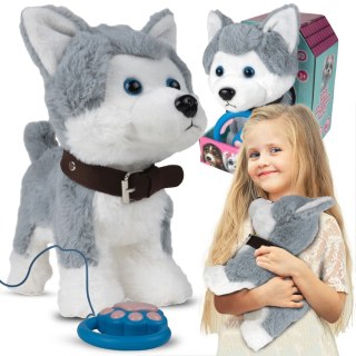 Interaktywny Piesek Husky Zdalnie Sterowany Głosem I Dotykiem Dla Dzieci