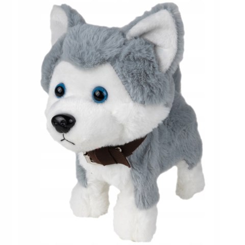 Interaktywny Piesek Husky Zdalnie Sterowany Głosem I Dotykiem Dla Dzieci