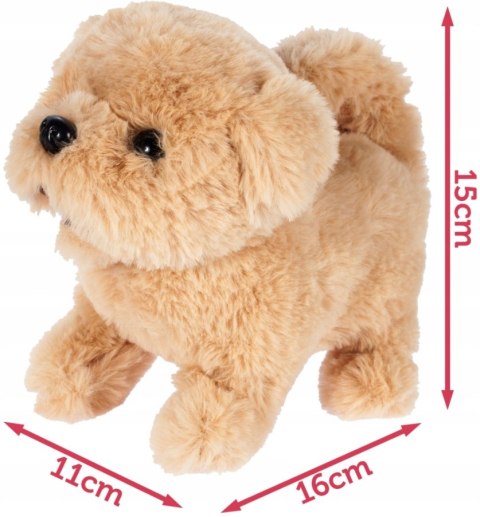 Interaktywny Pluszowy Piesek Golden Retriever Chodzi Szczeka Dla Dzieci