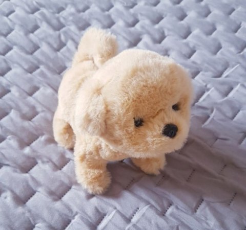 Interaktywny Pluszowy Piesek Golden Retriever Chodzi Szczeka Dla Dzieci