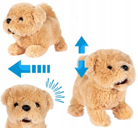 Interaktywny Pluszowy Piesek Golden Retriever Chodzi Szczeka Dla Dzieci