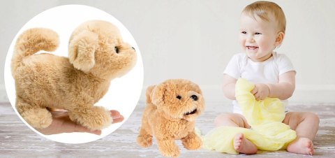 Interaktywny Pluszowy Piesek Golden Retriever Chodzi Szczeka Dla Dzieci