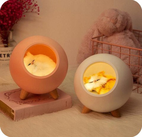 Lampka Nocna Led Z Małym Kotkiem, Usb, Płynne Ściemnianie Figurka Wyjmowana