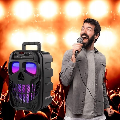 Głośnik Kolumna Bezprzewodowa Przenośna Karaoke Bluetooth 5.0 Mikrofon, Rgb