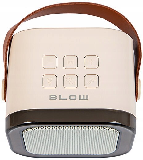 Głośnik Mobilny Blow Karaoke Rgb 10W 2X Mikrofony, Bluetooth, Usb-C, Uchwyt
