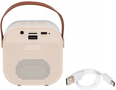 Głośnik Mobilny Blow Karaoke Rgb 10W 2X Mikrofony, Bluetooth, Usb-C, Uchwyt