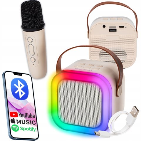 Głośnik Przenośny Blow Karaoke Rgb 10W 2 Microfony Usb Sd Podświetlenie Led