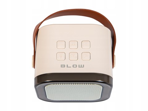 Głośnik Przenośny Blow Karaoke Rgb 10W 2 Microfony Usb Sd Podświetlenie Led