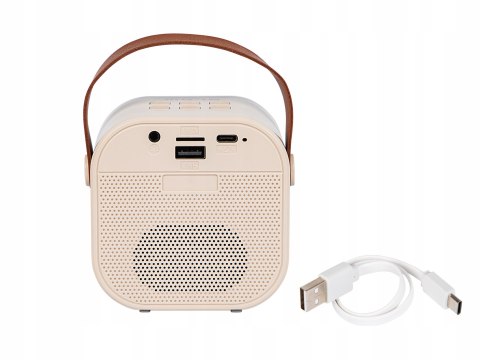 Głośnik Przenośny Blow Karaoke Rgb 10W 2 Microfony Usb Sd Podświetlenie Led