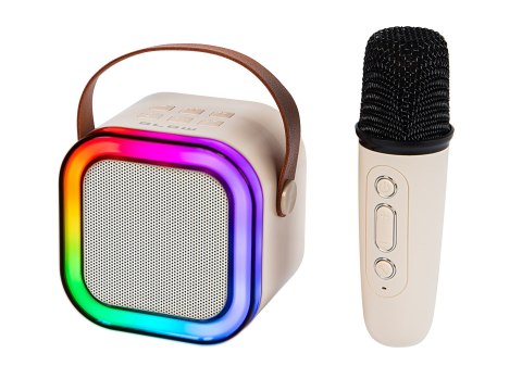 Głośnik Przenośny Blow Karaoke Rgb 10W 2 Microfony Usb Sd Podświetlenie Led