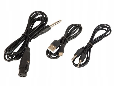 Przenośny Głośnik Bluetooth Blow Citylight 160W Karaoke Tws Led Usb Pilot