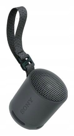 Sony Srsxb100 Głośnik Przenośny Bluetooth 5.3 Ip67 Usbc 16H Mikrofon Czarny