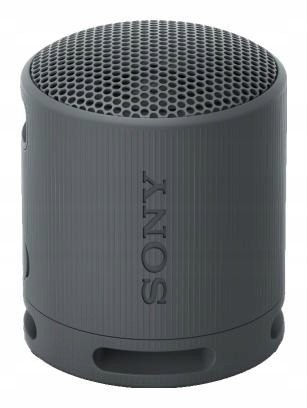Sony Srsxb100 Głośnik Przenośny Bluetooth 5.3 Ip67 Usbc 16H Mikrofon Czarny
