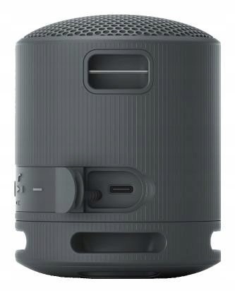 Sony Srsxb100 Głośnik Przenośny Bluetooth 5.3 Ip67 Usbc 16H Mikrofon Czarny