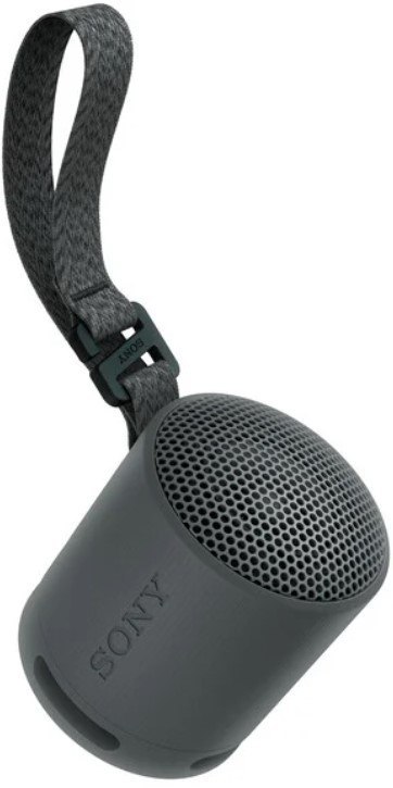 Sony Srsxb100 Głośnik Przenośny Bluetooth 5.3 Ip67 Usbc 16H Mikrofon Czarny