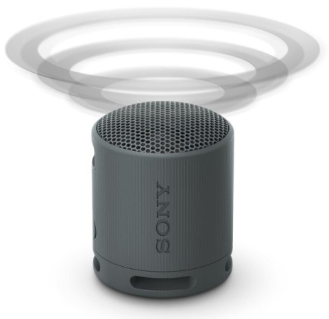 Sony Srsxb100 Głośnik Przenośny Bluetooth 5.3 Ip67 Usbc 16H Mikrofon Czarny