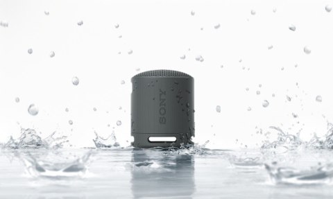 Sony Srsxb100 Głośnik Przenośny Bluetooth 5.3 Ip67 Usbc 16H Mikrofon Czarny