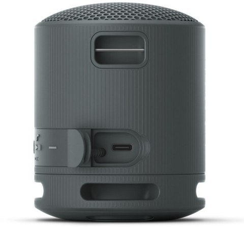 Sony Srsxb100 Głośnik Przenośny Bluetooth 5.3 Ip67 Usbc 16H Mikrofon Czarny