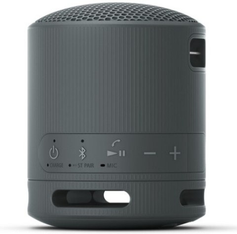 Sony Srsxb100 Głośnik Przenośny Bluetooth 5.3 Ip67 Usbc 16H Mikrofon Czarny